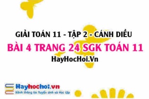 Bài 4 trang 24 Toán 11 tập 2 Cánh Diều